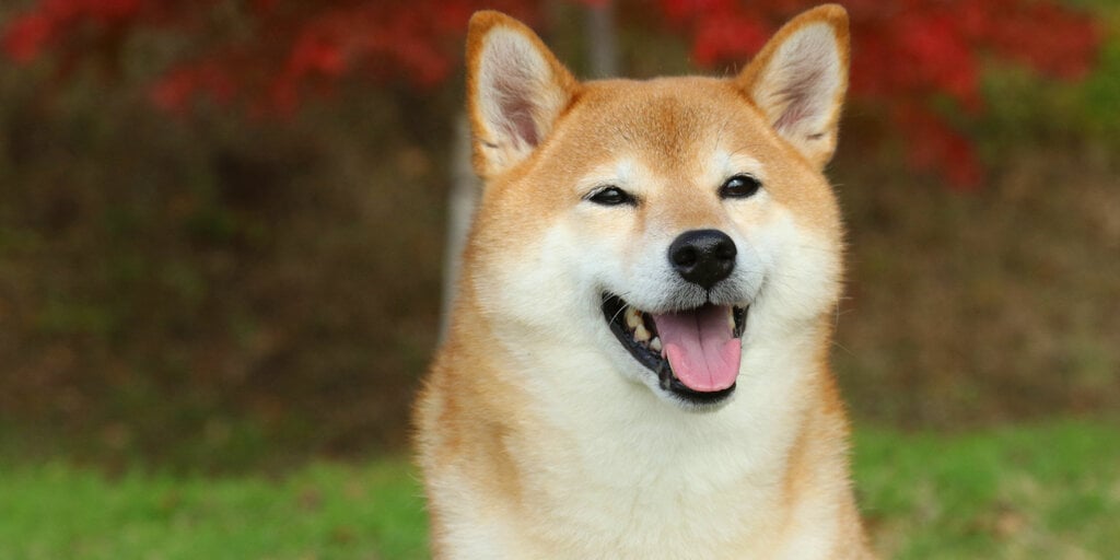 SEC承认Grayscale的Dogecoin ETF文件,请查看时钟尚未开始