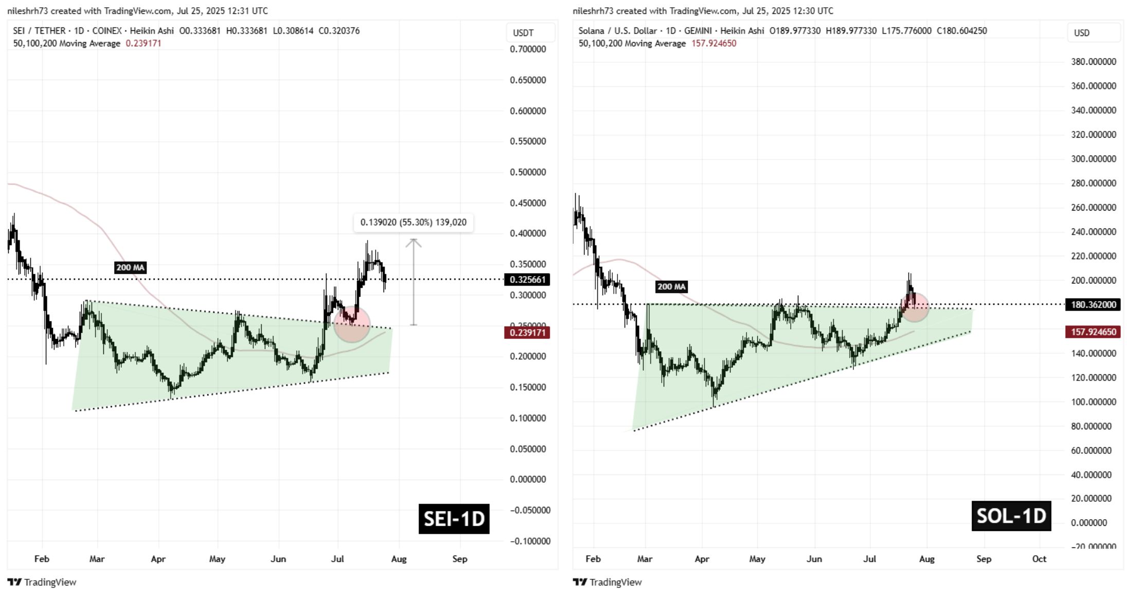 Solana (SOL) To Bounceback? This Emerging Fractal Setup Saying Yes! image 1
