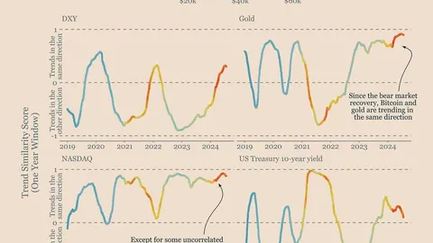 Bitcoin investment overview: long-term correlation with gold and Nasdaq, liquidity remains the key driving force