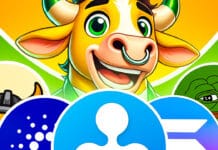 Krypto News: XRP, ADA, PEPE, FLOKI & SOL durchbrechen mehrmonatige Konsolidierung – Forscher sehen „volle Altcoin-Saison“