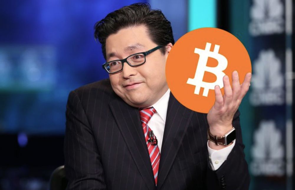 比特币2025：穿越热潮与现实的交叉路口 image 3