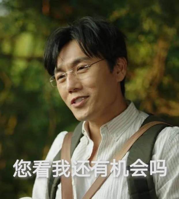 韭菜日记①:Meme 虐我千百遍,我待 Meme 如初恋 image 11