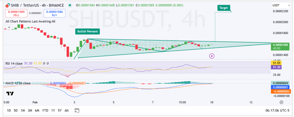 Цена Сиба Ину достигнет $0.000022: когда и как? image 0