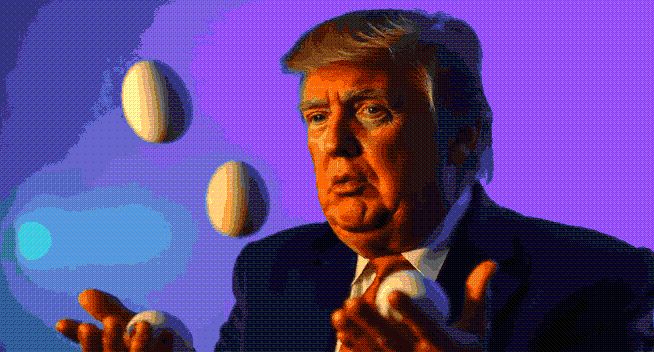 24h Crypto : Donald Trump relance deux secteurs oubliés