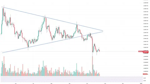 Predicción del mercado cripto: Soporte fundamental para Shiba Inu (SHIB) en este nivel, oportunidad de XRP para saltar a los $3, Ethereum (ETH) apunta a los $3,500 como próximo objetivo