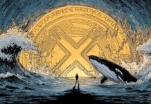 Krypto News: XRP dank der Wale unter Druck – Fällt jetzt die 3 Dollar Marke?