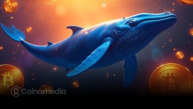 Bitcoin Whales Are Stacking More BTC Than Ever