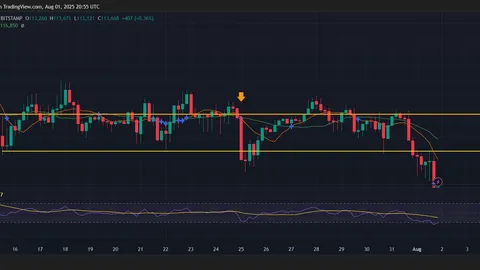 Crypto Market Crash: Bitcoin Dips Below $114K as Altcoins Bleed Harder