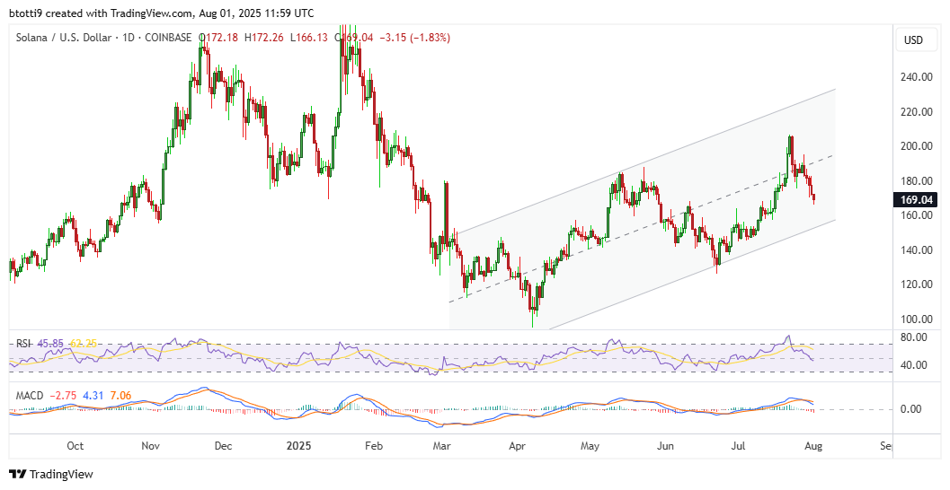 Solana price forecast as SOL bulls look to buy the dip image 1