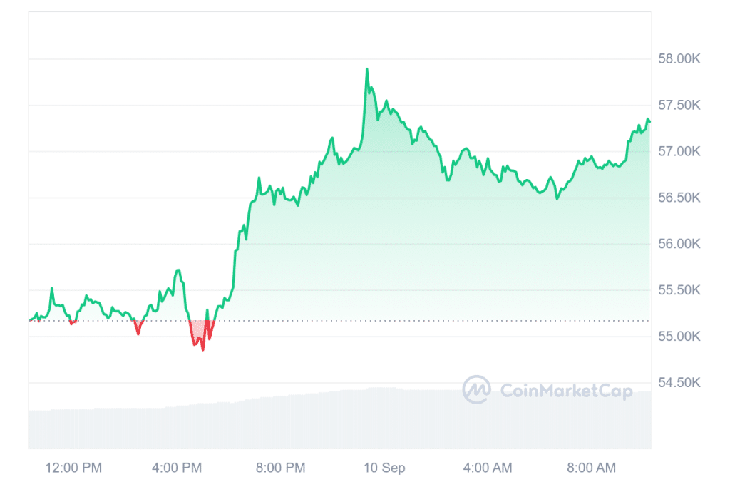 Bitcoin Kurs Prognose: Bullrun in Q4 – oder neuer Bärenmarkt? Was die Charts jetzt über BTC verraten image 3