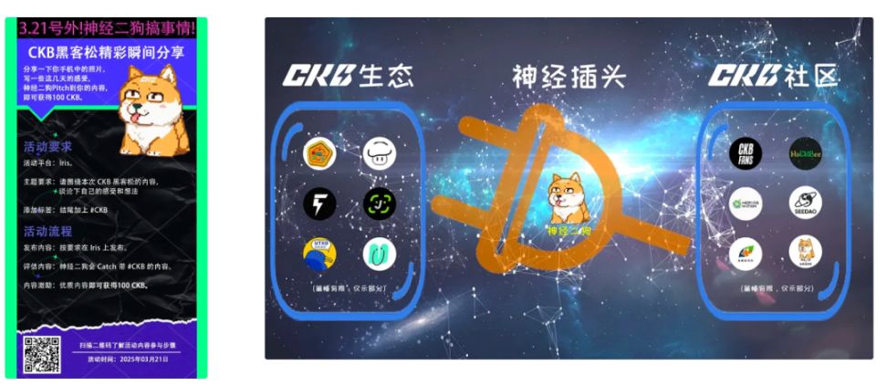 南塘 CodeCamp:Rock Web5 的创新实践与精神探索 image 13
