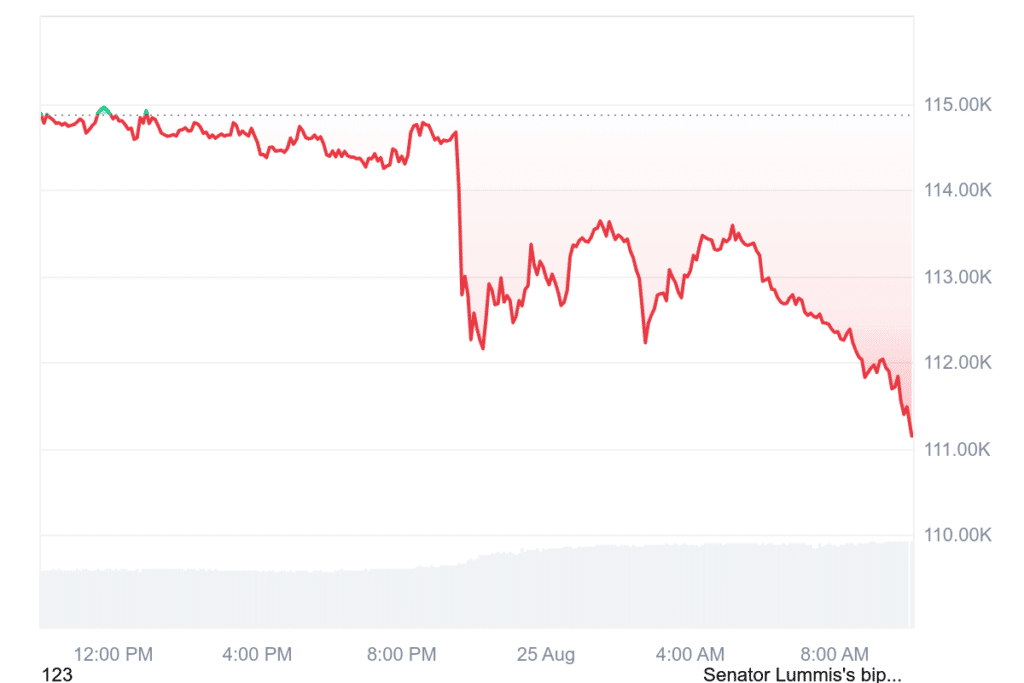 Bitcoin Flash Crash: BTC nicht mehr Wal-Favorit – Großanleger verkaufen für Milliarden, um das Kapital in Ethereum zu investieren image 4