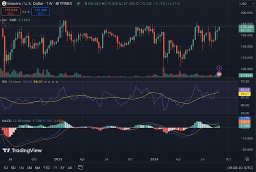 Giá Monero (XMR) Tăng 1,47%: Động Lực Tăng Giá Đang Hình Thành image 3