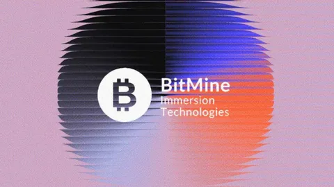 Провідна Ethereum-скарбниця BitMine призначає нового генерального директора та розширює раду директорів