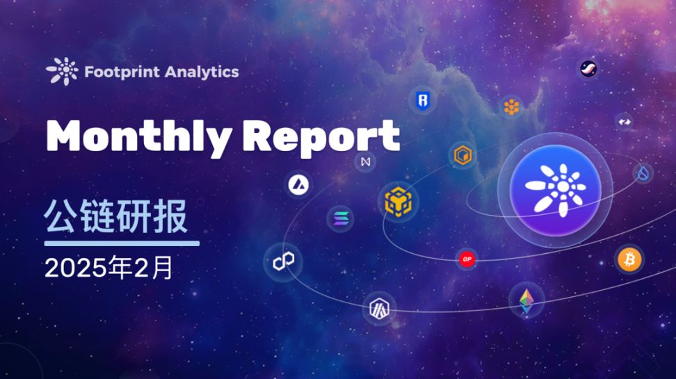 2025 年 2 月公链行业研报：回调中的挑战与创新 image 0