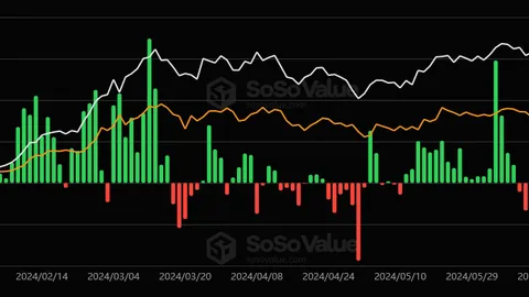 Bitcoin ETF Holders Unshaken by Market Meltdown