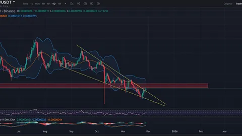 Shiba Inuのバーン率が90%減少、しかし強気の反転パターンが出現