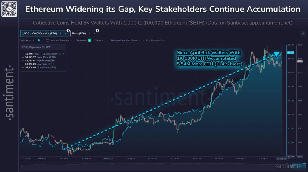 Ethereum Could Approach $4,500 as Whales Boost Holdings 14% After Accumulating 5.5M ETH image 0