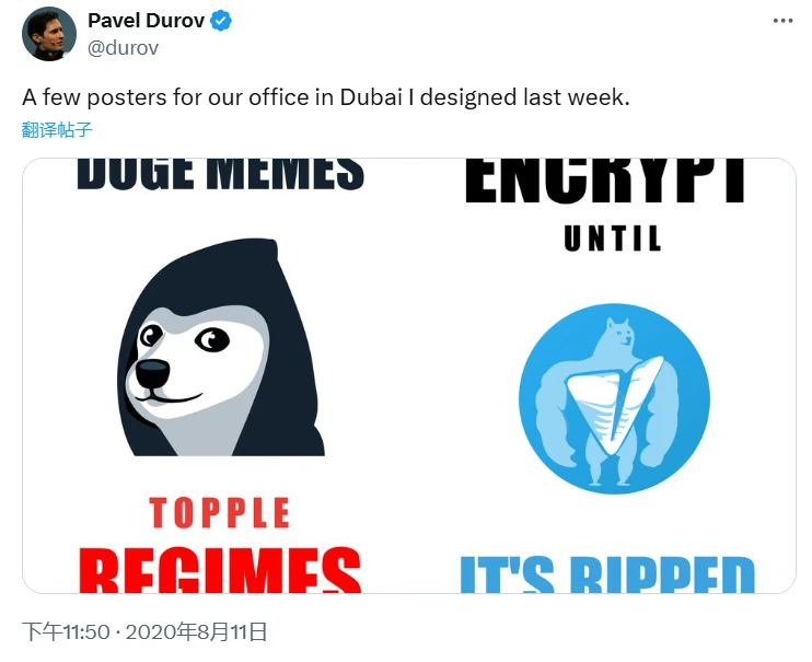 With 1 million fans, what is the origin of the Ton ecosystem Meme DOGS that suddenly became popular? image 1