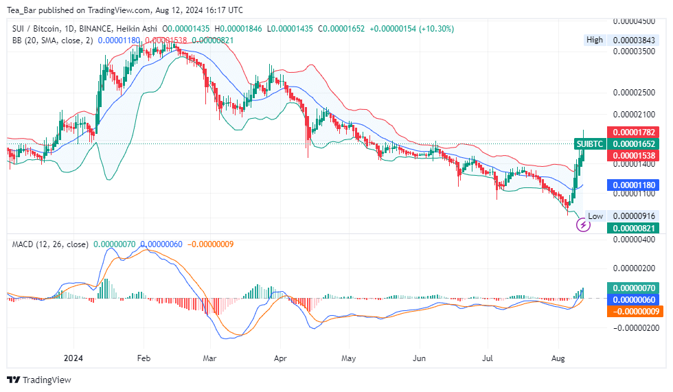 Sui Price Prediction for Today, August 12 – SUI Technical Analysis image 3