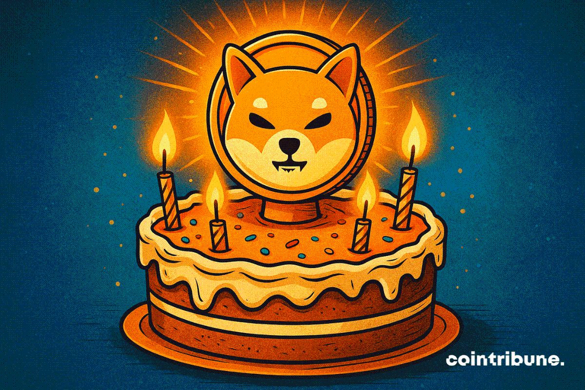 Shiba fête ses 5 ans : Le burn explose de 5 800 %