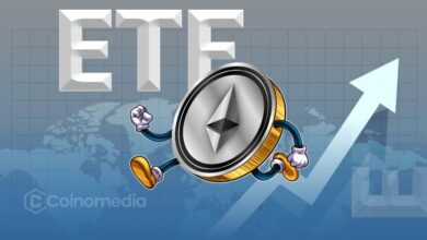 Ethereum ETFs See Huge July Inflows