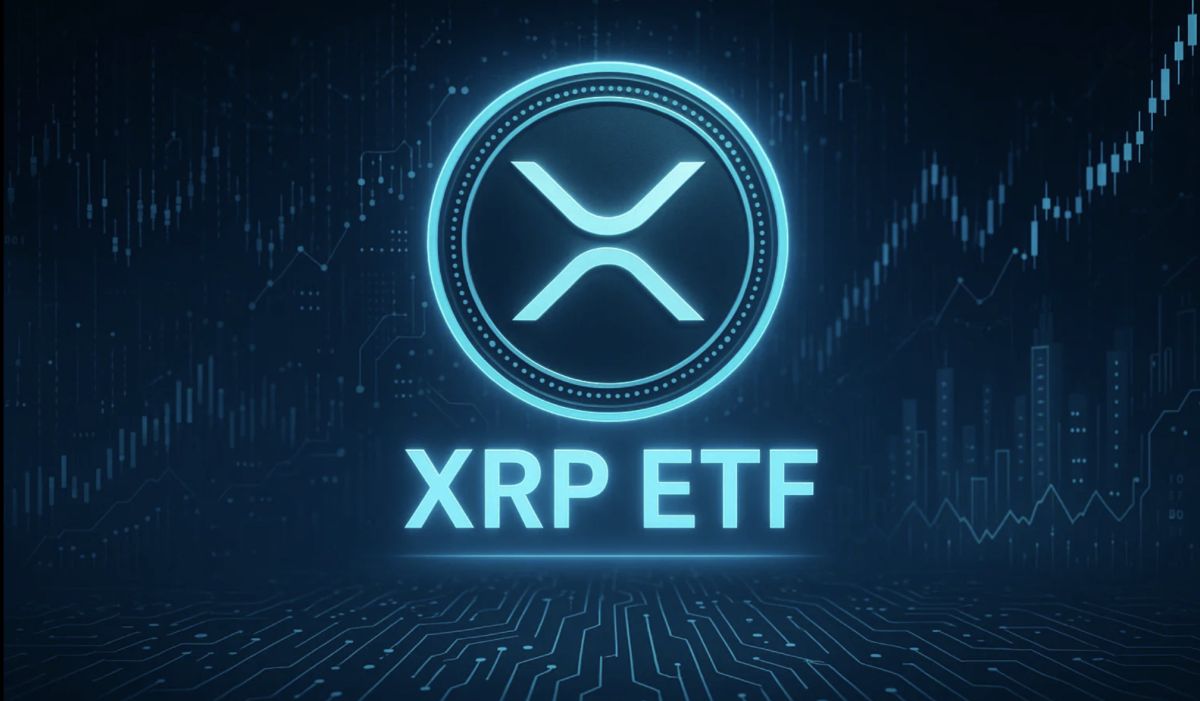 Spot XRP ETF May Launch November 13 After Canary Capital Removes Delaying Amendment