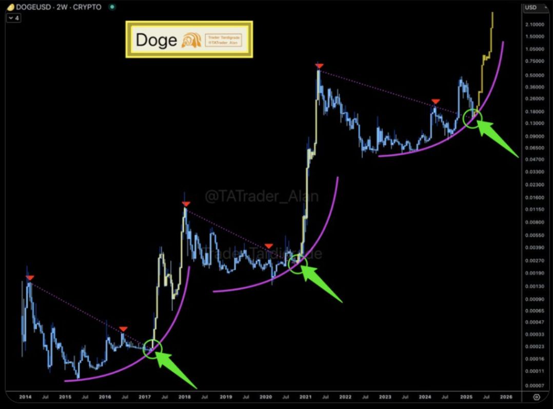 Dogecoin (DOGE) sẽ đi về đâu khi niềm tin nhà đầu tư lung lay? image 2