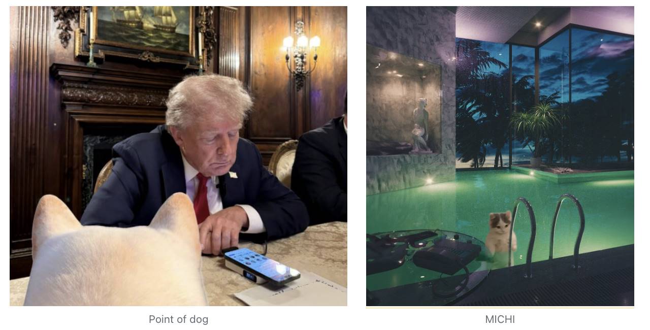 Meme热潮持续：魔性狗子 + 可爱小猫，半天之内再现千倍涨幅？ image 1