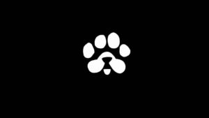 Siap-Siap! Airdrop PAWS Segera Meluncur dengan Harapan Tinggi