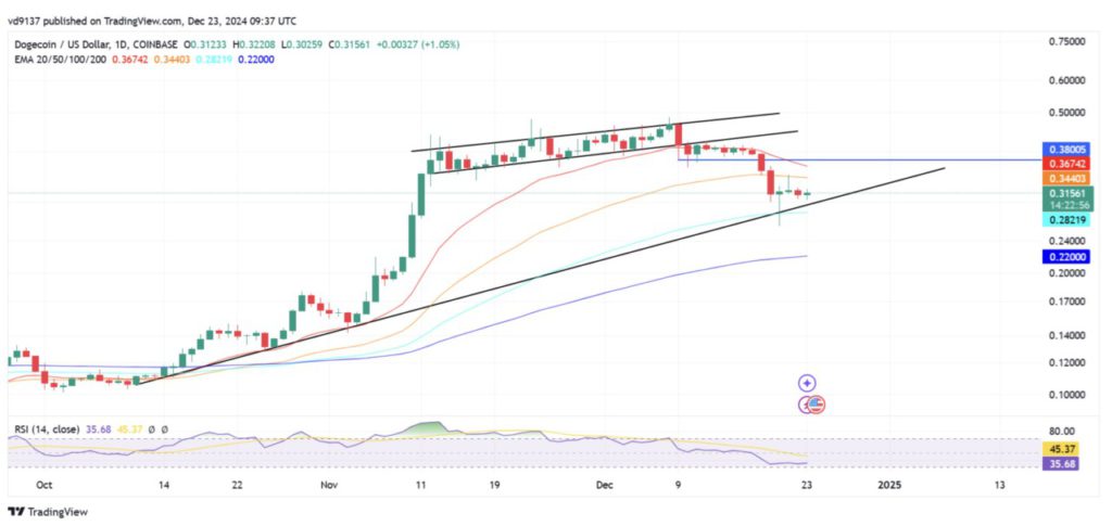 Harga Dogecoin Naik Tipis Hari Ini (24/12/24): DOGE Berpotensi Melonjak ke Rp323.000? image 1