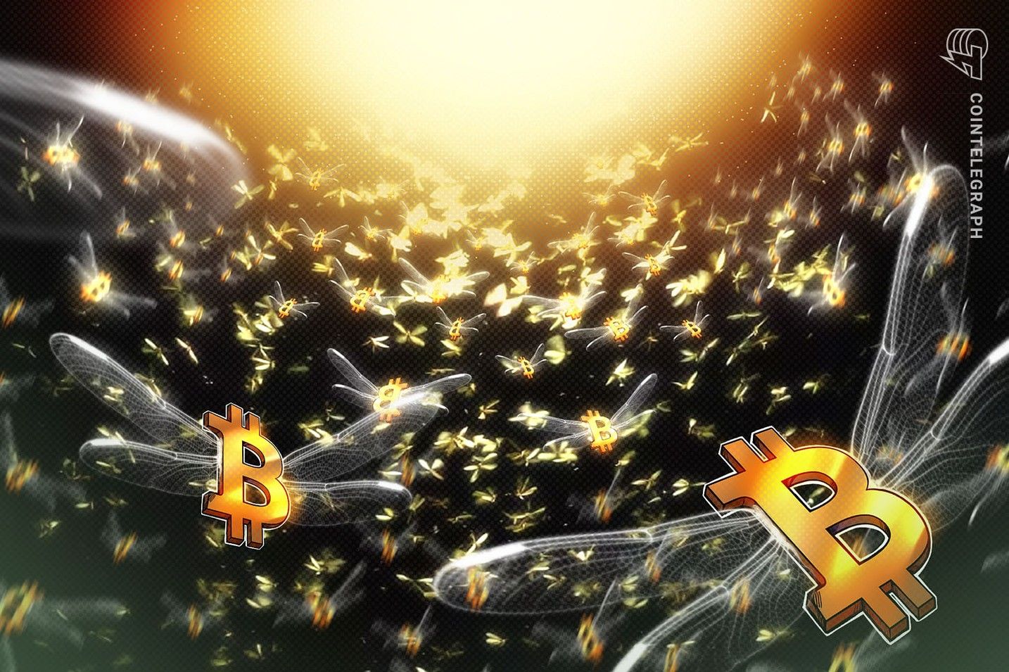 2 000 bitcoins en mouvement : Des pièces Casascius rares se réveillent après 13 ans