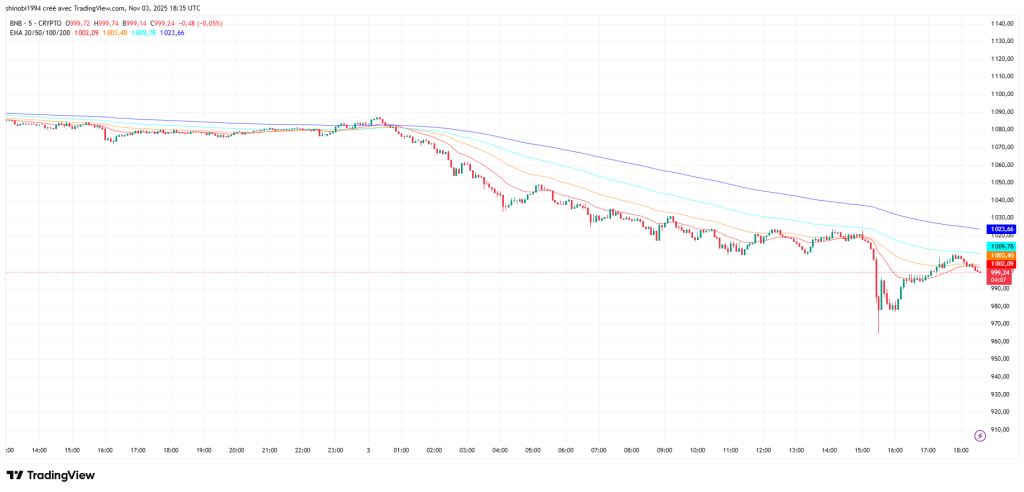 BNB décroche : –6 % et rupture du support critique à 1 080 $ image 1