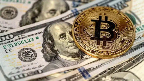 Bitcoin Spot ETFs Attract Another $105M, Maintaining 15 Consecutive Days of Net Inflows