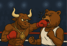 FARTCOIN startet durch: Meme Coins Season Reloaded? BTC auf 85K, Fokus auf BTCBULL