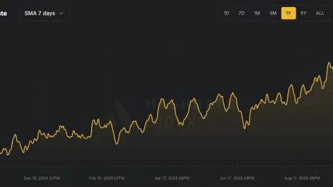 Хэшрейт Bitcoin взлетел до исторического максимума в 1,161 EH/s, майнеры продолжают уверенно развивать инфраструктуру несмотря на волатильность цен.
