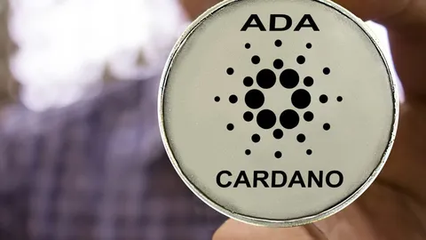 Європа прискорює впровадження цифрового паспорта продукту — чи зможе Cardano запропонувати ідеальне рішення?