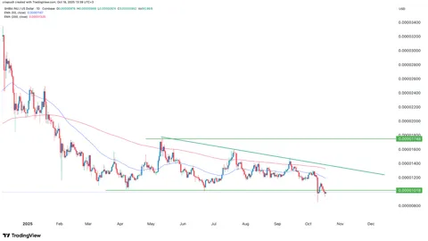 Previsões de preços do mercado cripto: Zcash, Shiba Inu, Morpho