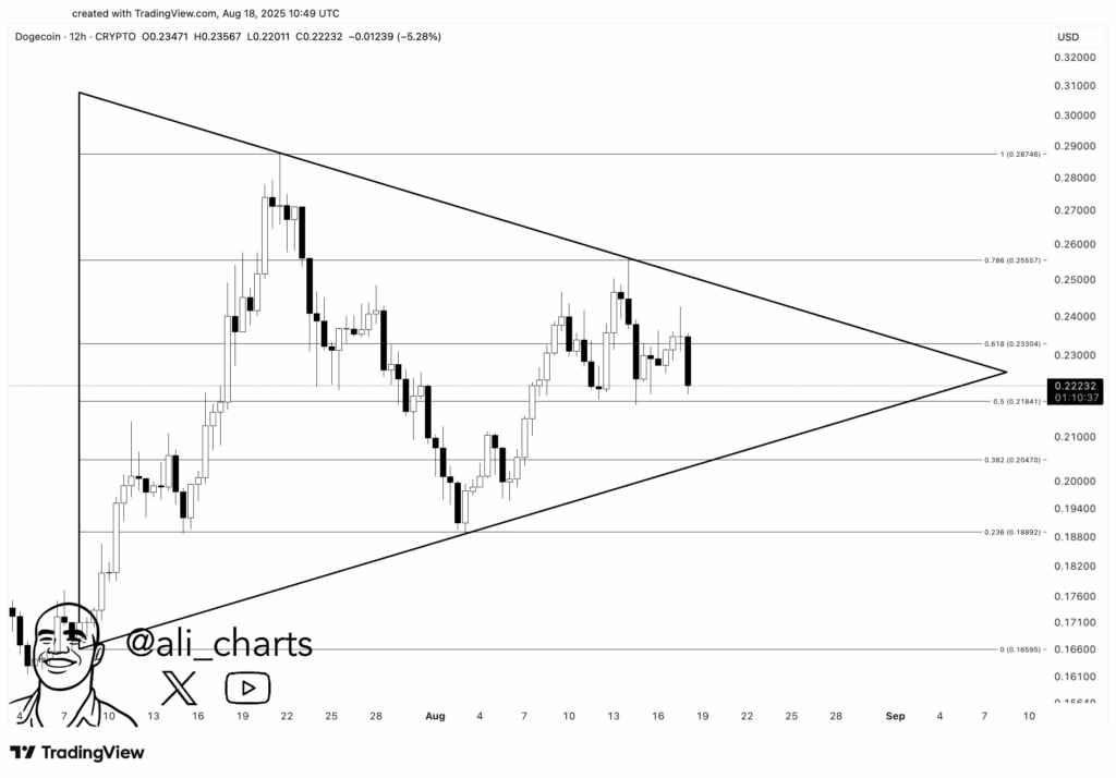 Цена Dogecoin вырастет на 40%? Все, что Вам нужно знать image 0