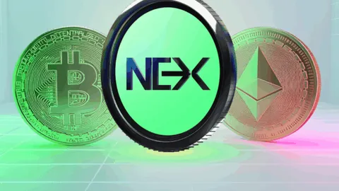 NEX Price Prediction: Nexchain Crypto Presale 2025 Selling Fast — Analysts Predict $1
