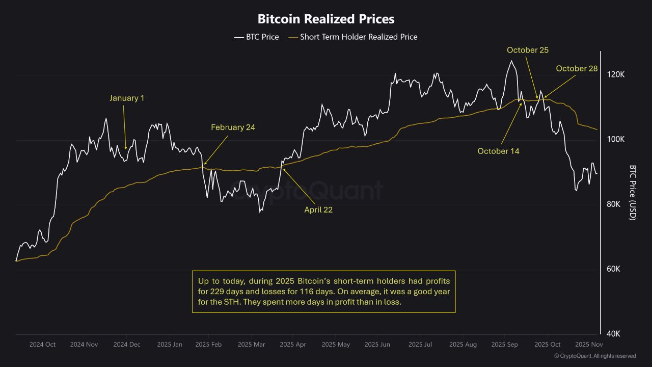 Krótkoterminowi traderzy Bitcoin osiągnęli zysk w 66% przypadków w 2025 roku: czy zyski wzrosną w 2026 roku? image 1