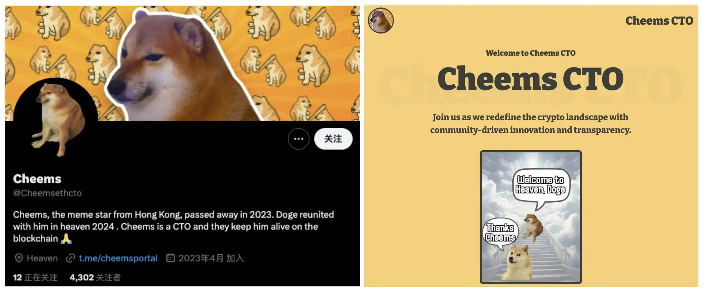Ethereum recreates “a hundred dogs barking”: SHIBA prototype dog meme grows 50 times in one day image 9