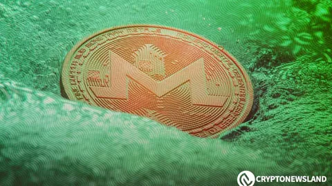 Monero Nears $226 Support as Oversold Trend Deepens