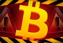 Bitcoin-Crash: Wal-Verkäufe sorgen beim BTC für Einbruch auf 115.000 US-Dollar