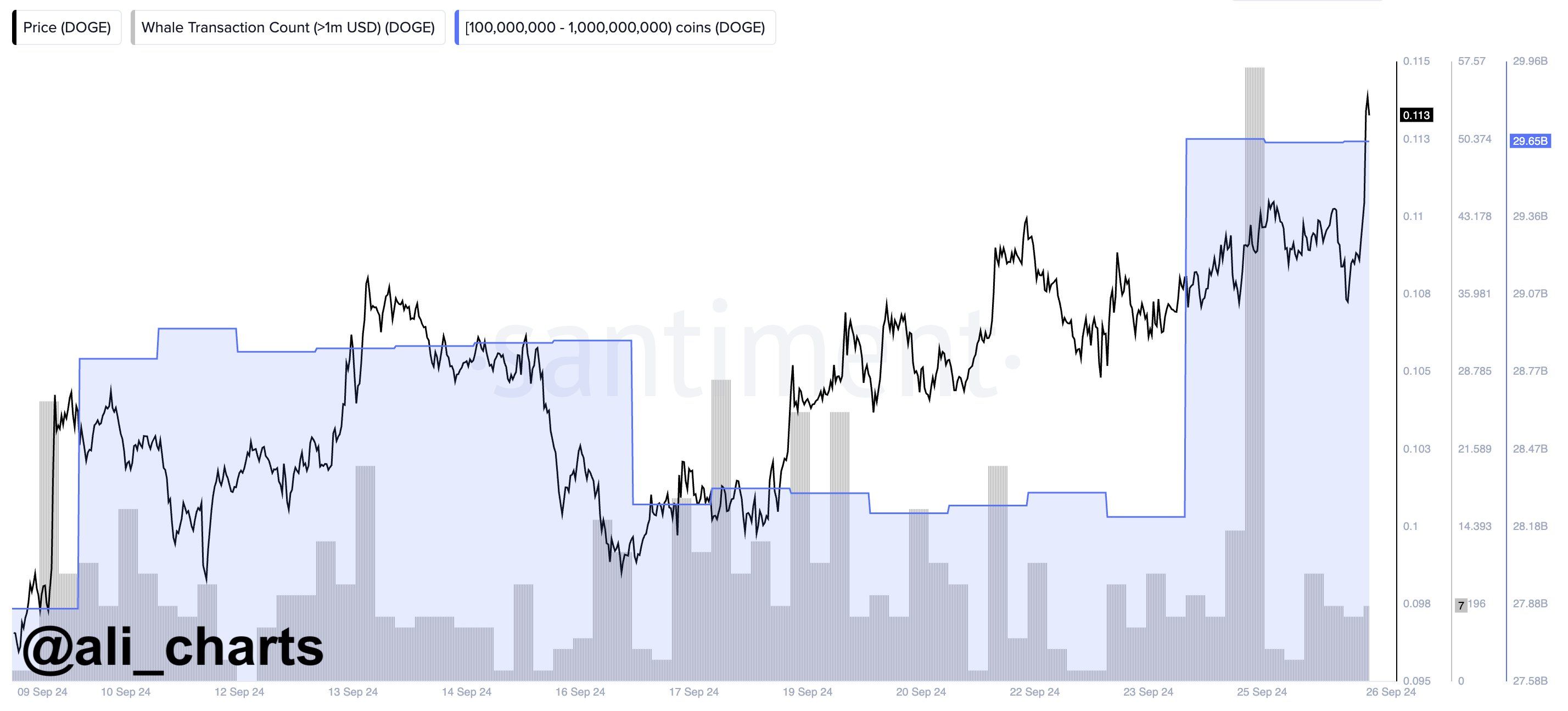 Dogecoin (DOGE) Could Be Primed for a Price Boost Based on Multiple Metrics, According to Crypto Analyst image 1