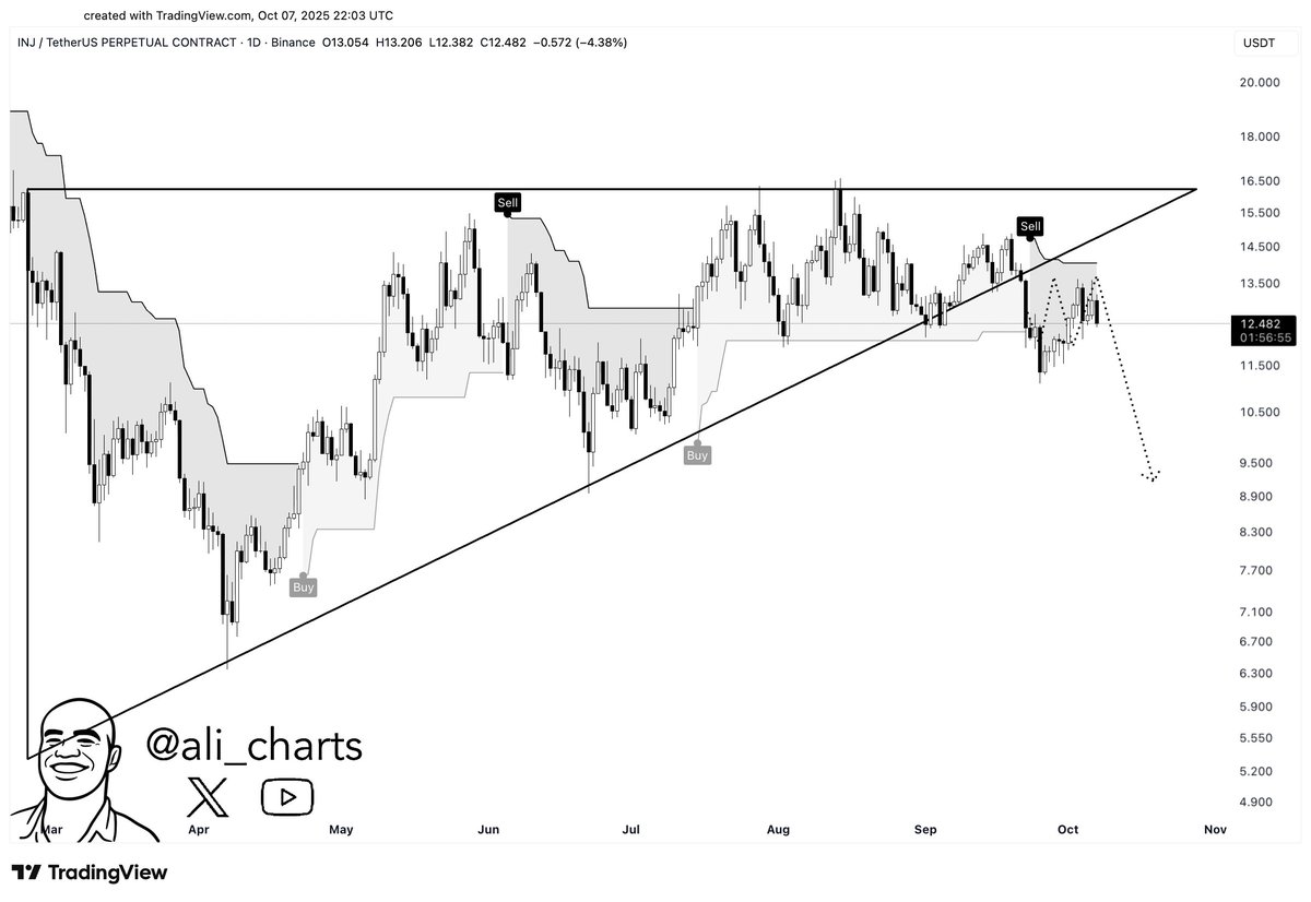 Cryptocurrency Experts Predict Dynamic Movements for INJ and XPL Coins image 3
