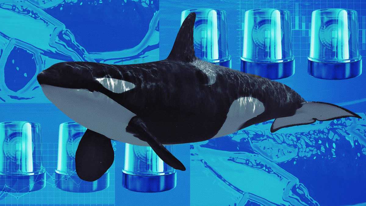 Bitcoin whale moves another $1.1 billion of BTC and resumes ETH purchases image 0