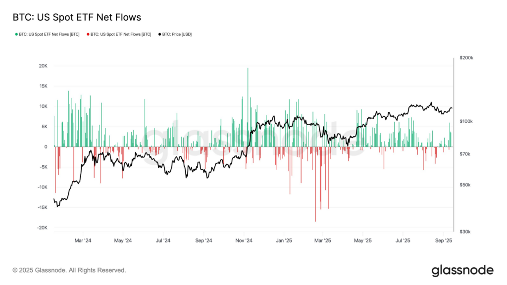 Les baleines Bitcoin relancent les ventes alors que le prix passe sous les 116 000 $ image 3