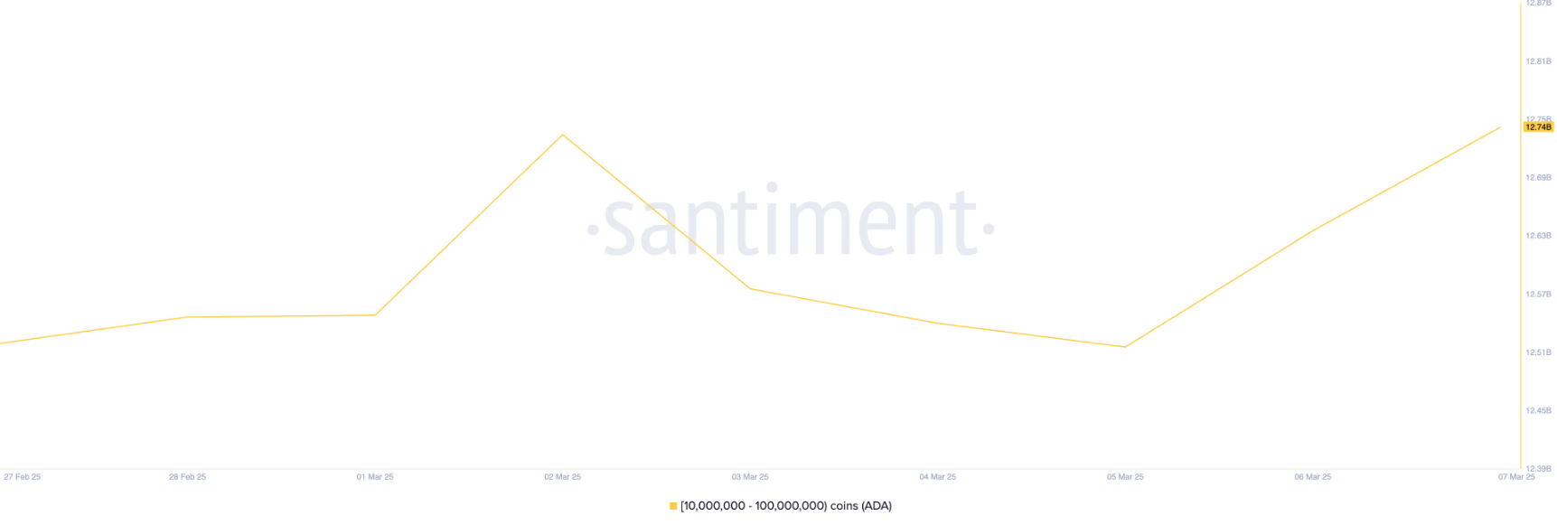 Cardano (ADA) tăng 47% khi cá voi và holder dài hạn gia tăng tích lũy image 0