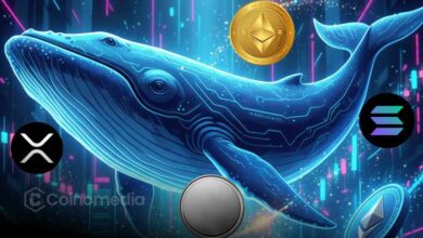 Whale Bought Altcoins Worth $35.7M in Market Dip